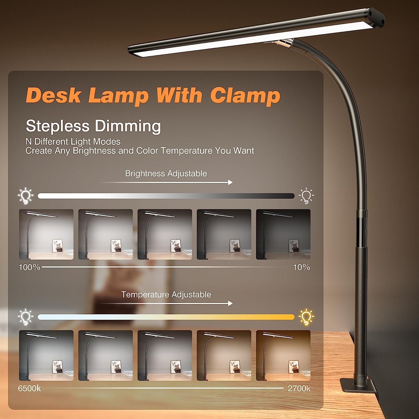 LED Desk Lamp