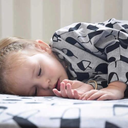 Baby Loves Sleep - Jersey Fitted Cot Sheets Organic Cotton - HALF PRICE