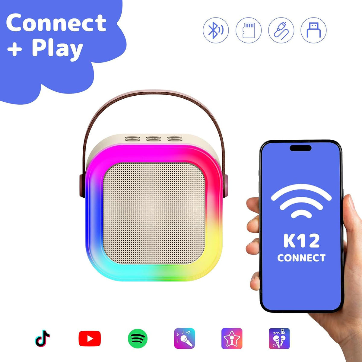 Karaoke Machine with 2 Microphones Bluetooth Speaker