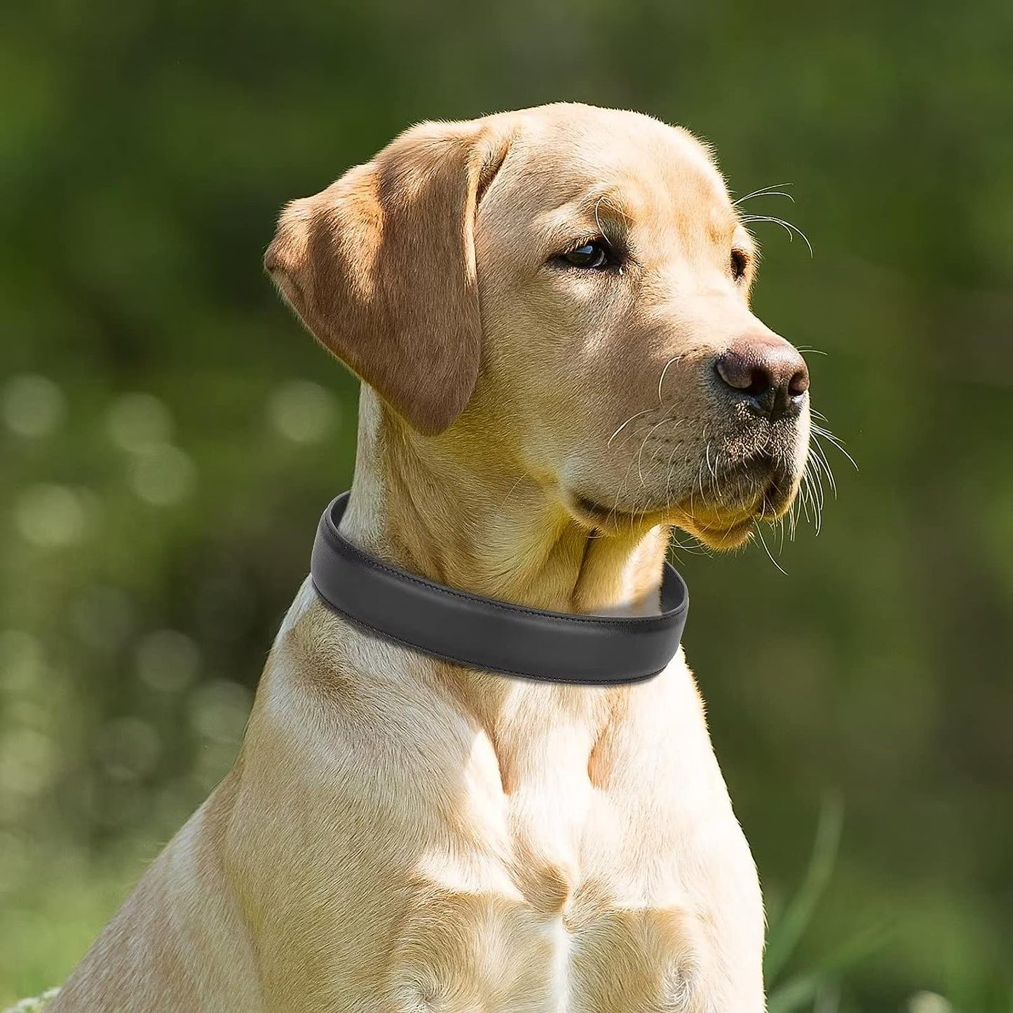 Adjustable Strong Heavy Duty PU Leather Dog Collar for Large Dogs - salelink.co.nz