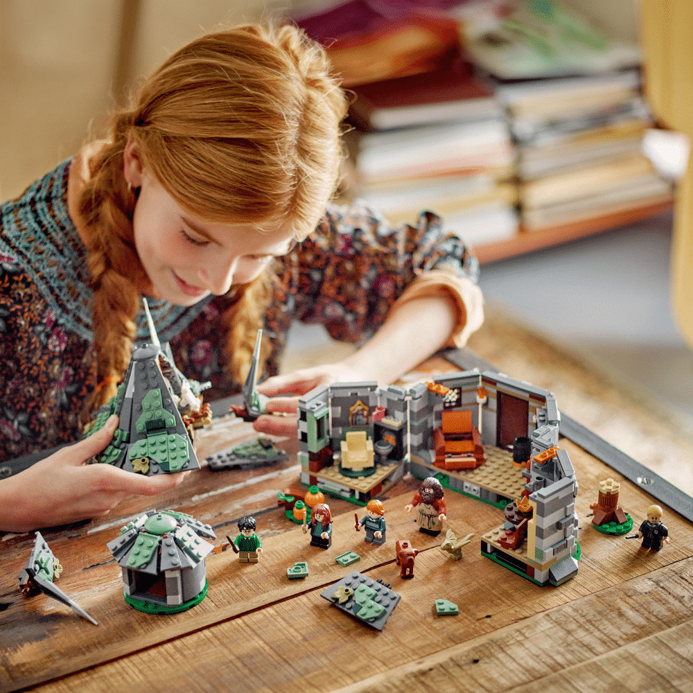 LEGO Harry Potter: Hagrids Hut: An Unexpected Visit (76428)