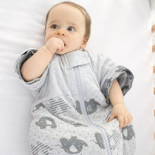 Bubba Blue - Convertible 2.5 Tog Sleeping Bag