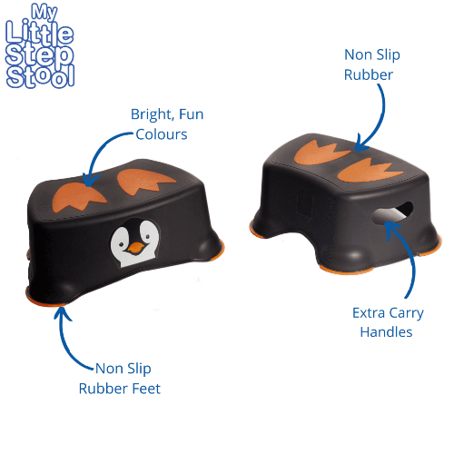 My Carry Potty - Toilet Training Step Stool