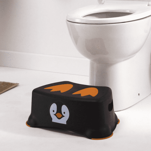 My Carry Potty - Toilet Training Step Stool