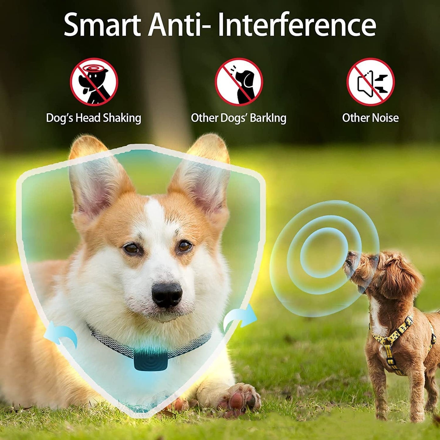 Anti Bark Dog Collar