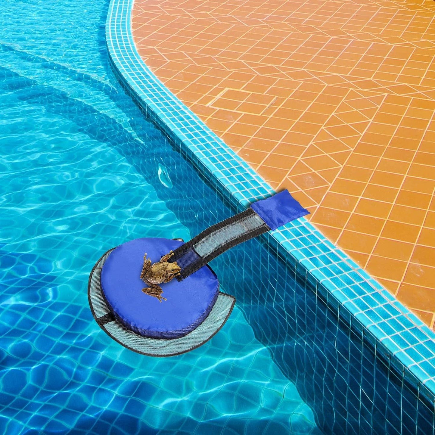 Animal Saving Escape Ramp
