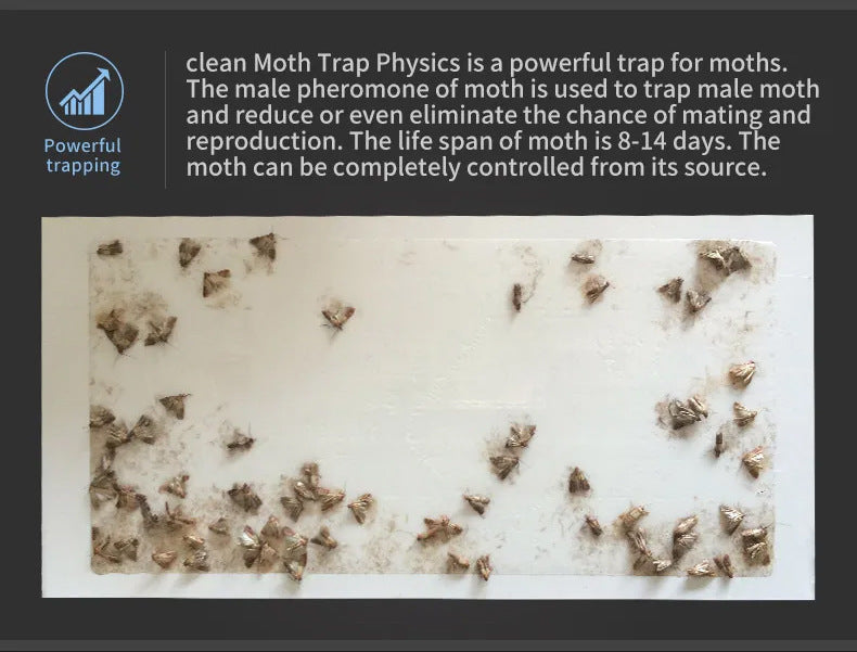 5PCS Clothing Pantry Moth Traps