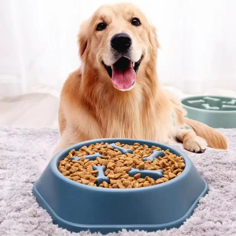 Slow Feeder Dog Bowl – Anti-Gulping Puzzle Feeding Bowl