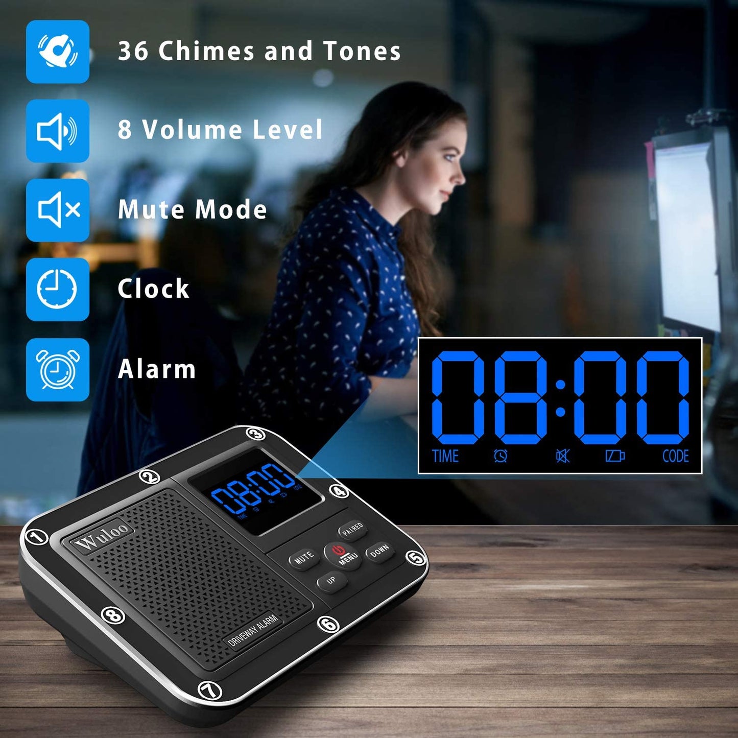 Solar Driveway Alarm System