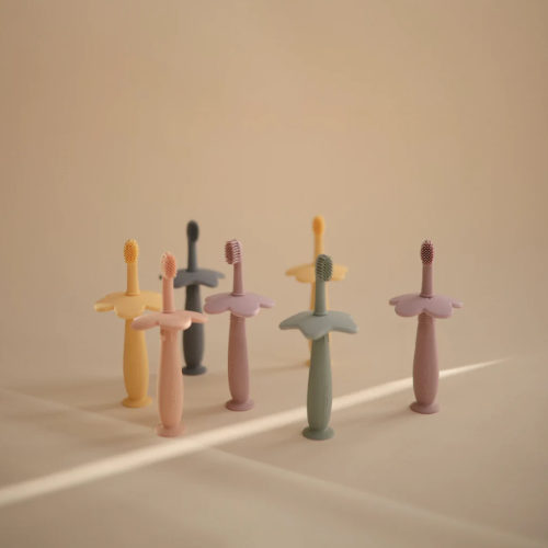Mushie - Training Toothbrush