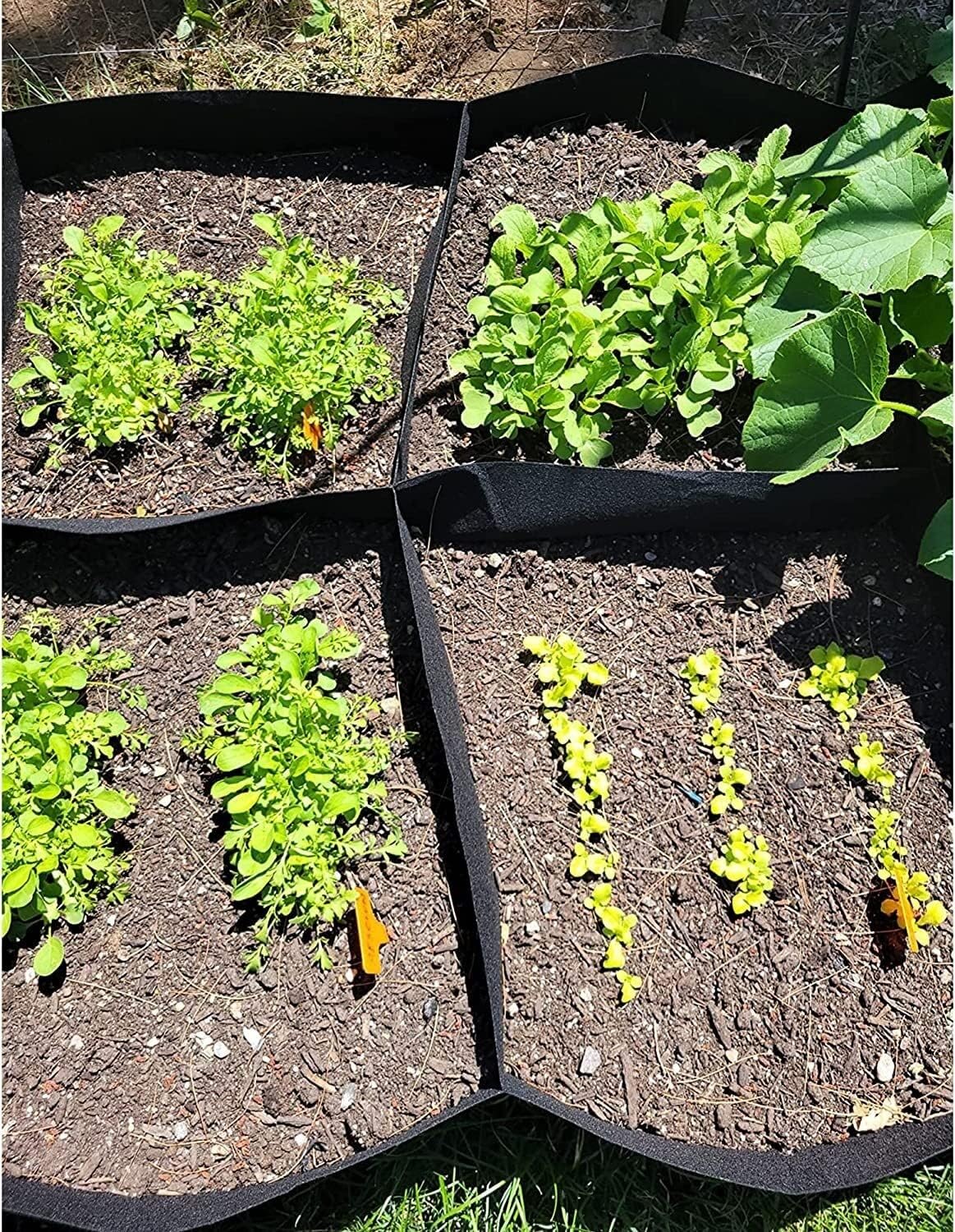 60x60x30CM Vegetable Planting Bag Fabric Raised Bed Garden Plant Flower Grow Bag
