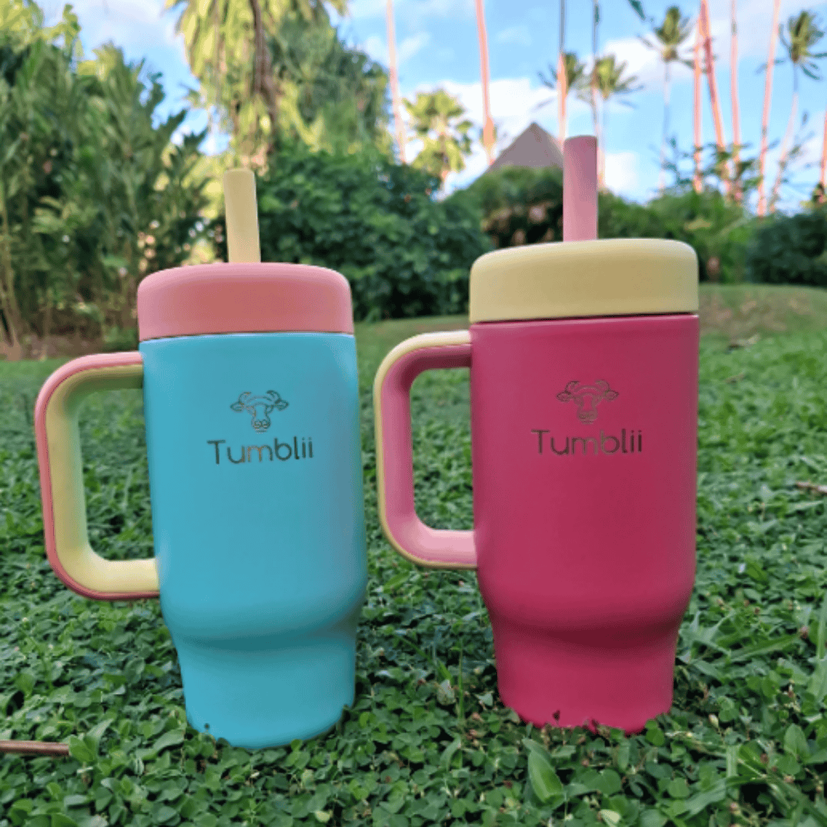 Two colorful tumblers with handles and straws on a grassy background