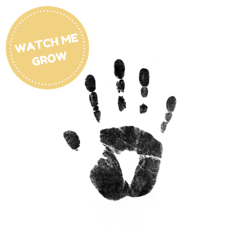 Baby Ink - Inkless Printing Kits