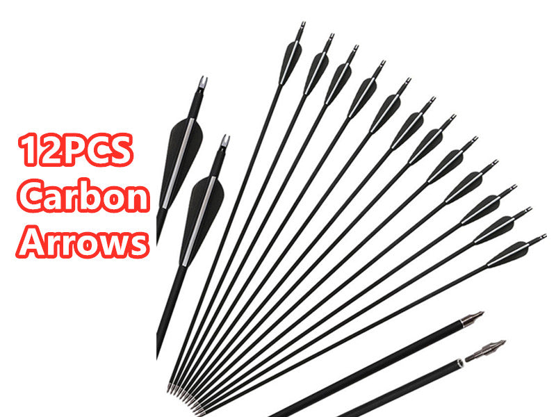 Carbon Arrows 12pcs - salelink.co.nz