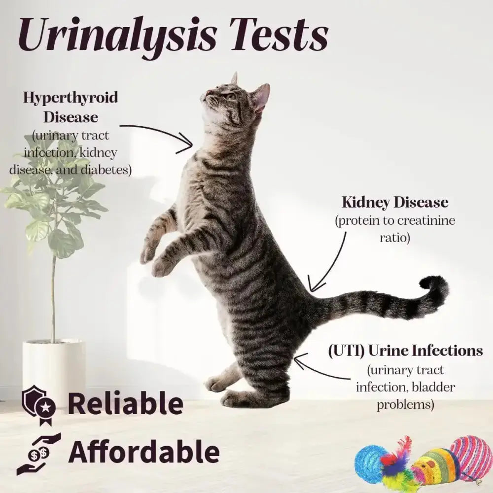 Pet Urine Testing Strips (x 100)