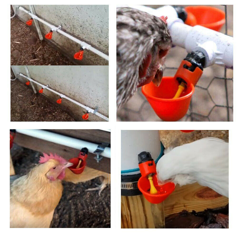 Automatic Cups Water Feeder Drinker Chicken Waterer Poultry Chook Bird - salelink.co.nz
