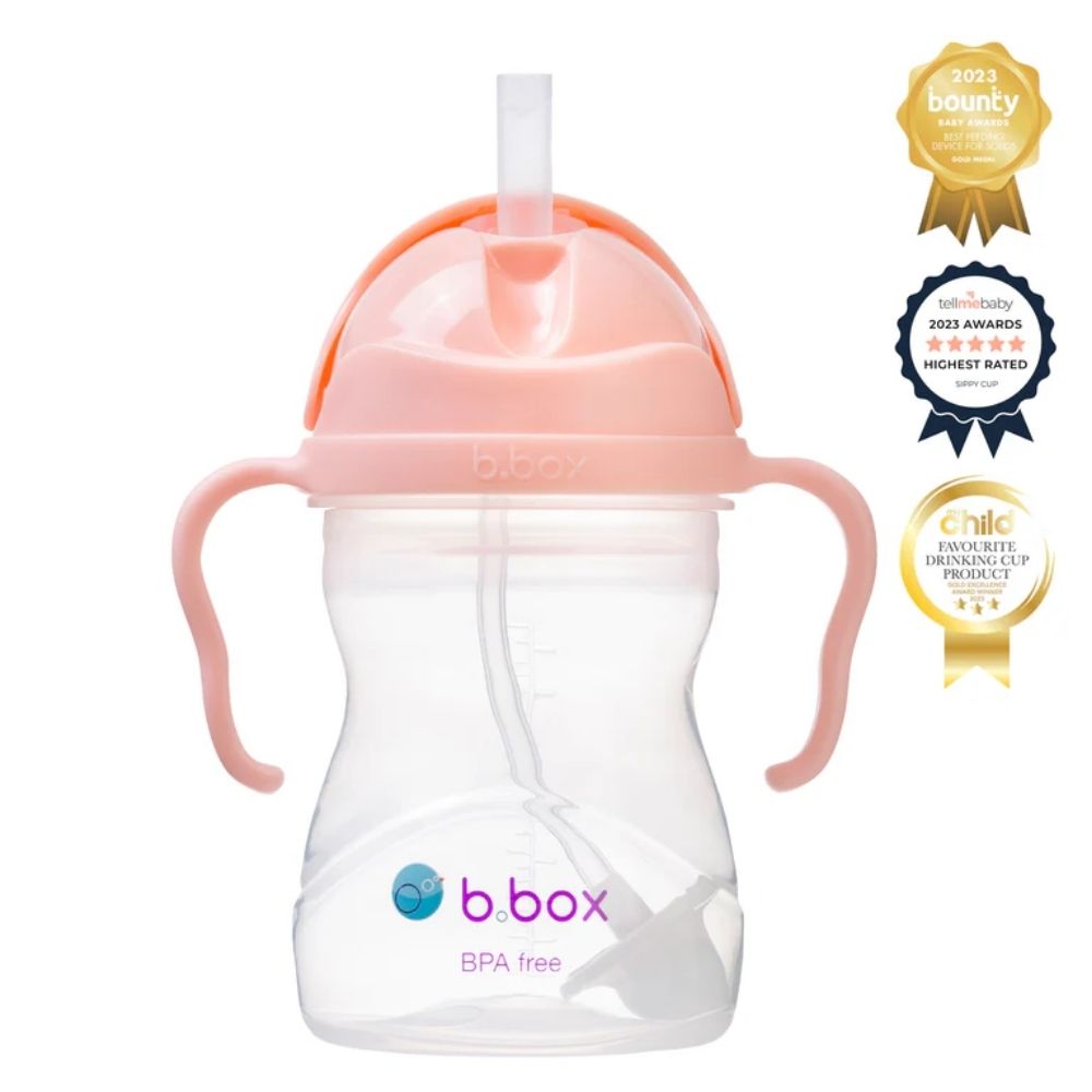 sippy-cup-tutti-fruitti