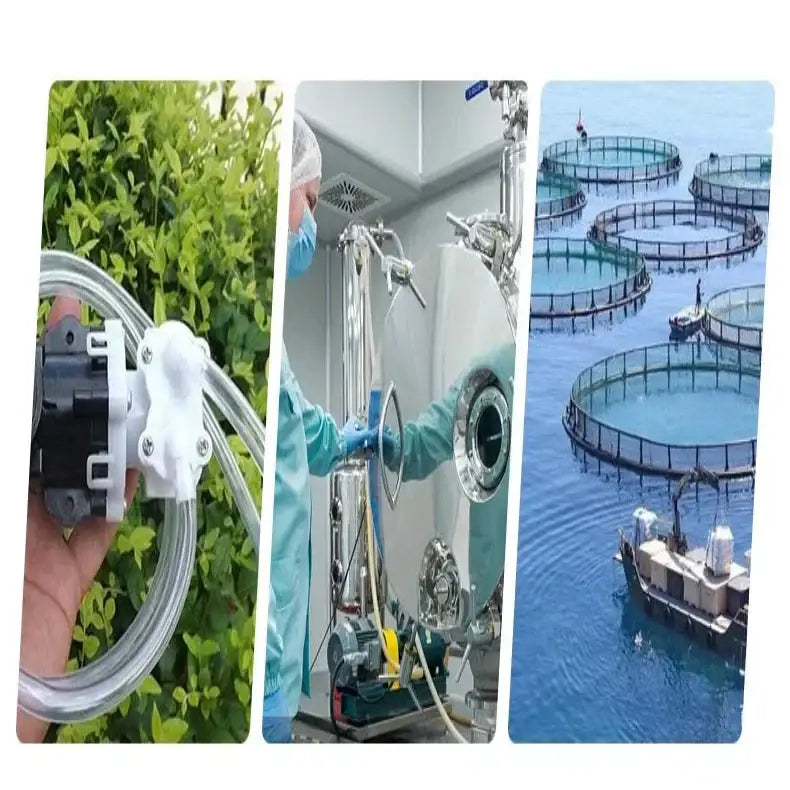 Transparent PVC Hose (different sizes available)