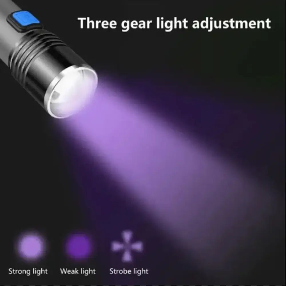 UV Blacklight (Rechargeable)