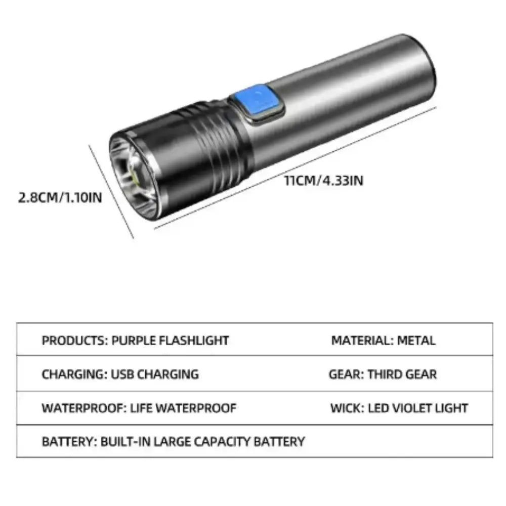 UV Blacklight (Rechargeable)