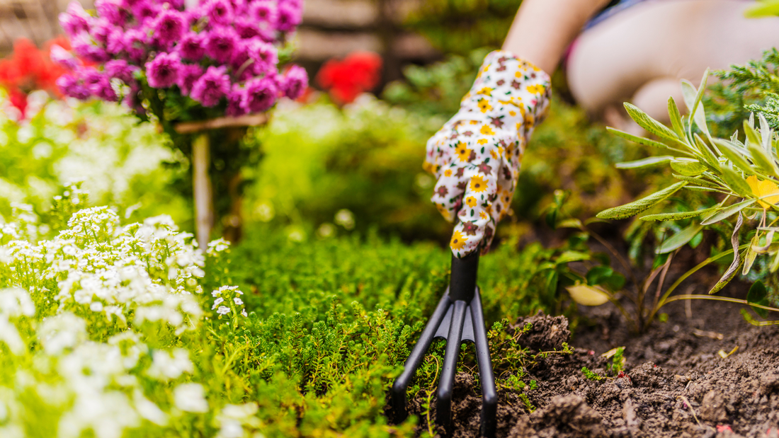 Spring Is Here: Your Guide to Refreshing the Garden & Outdoor Spaces