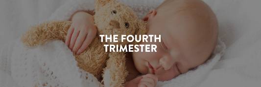 The Fourth Trimester