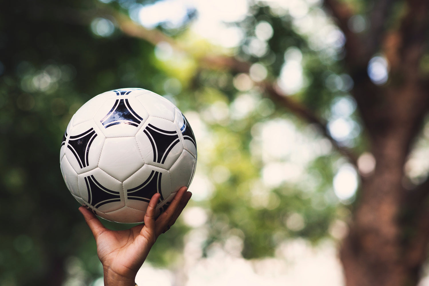 Sporting Goods