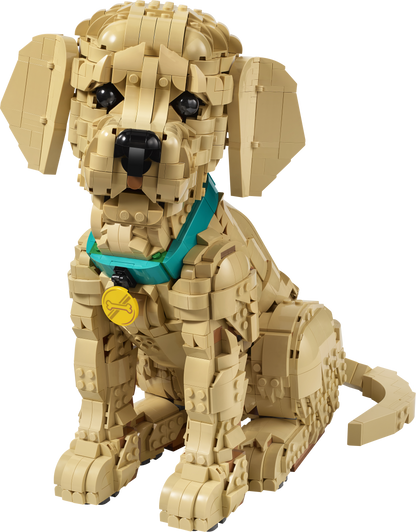 LEGO Icons: Golden Retriever Puppy (11384)