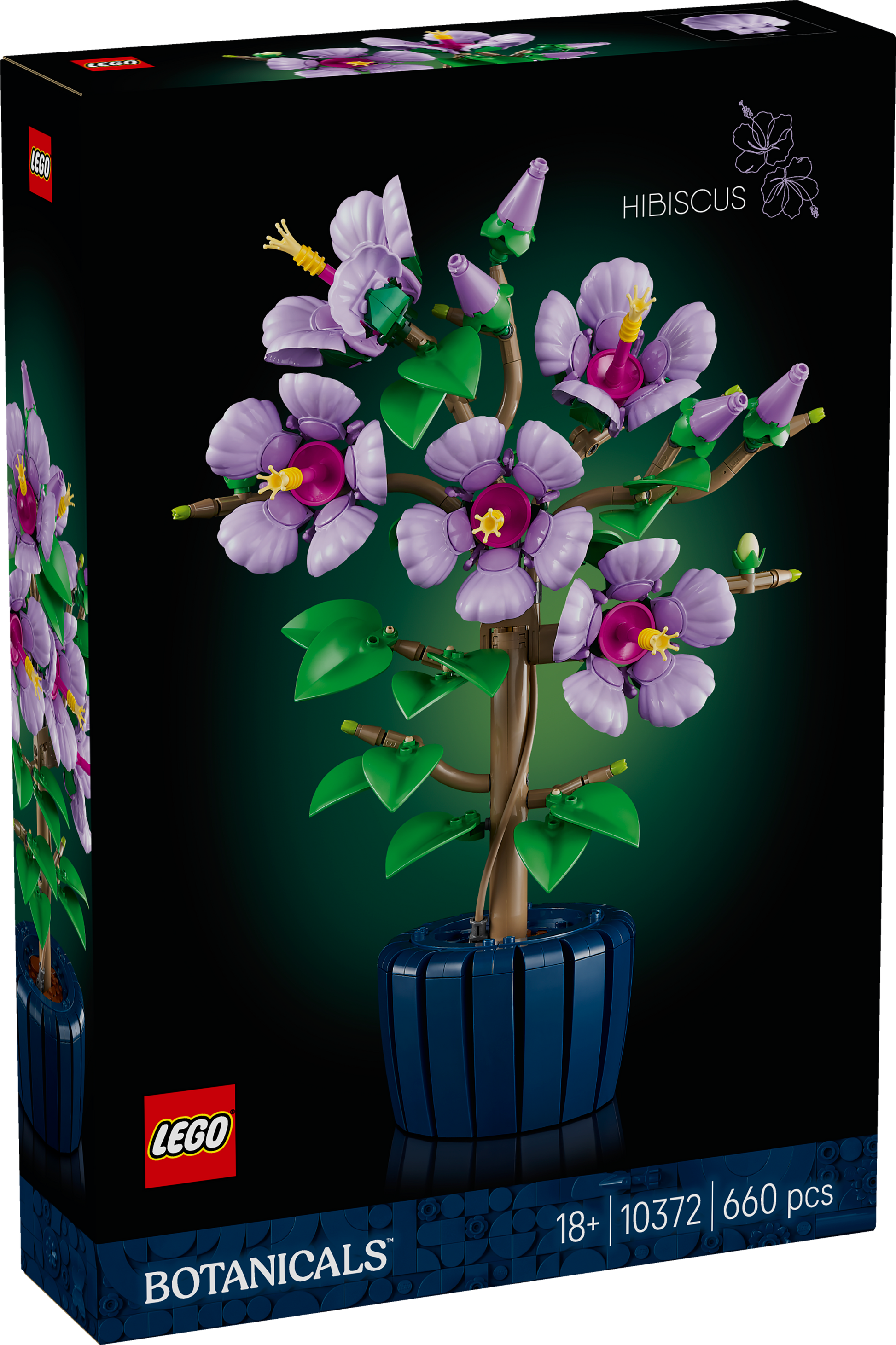 LEGO Botanicals Hibiscus set packaging with purple flowers and green leaves.