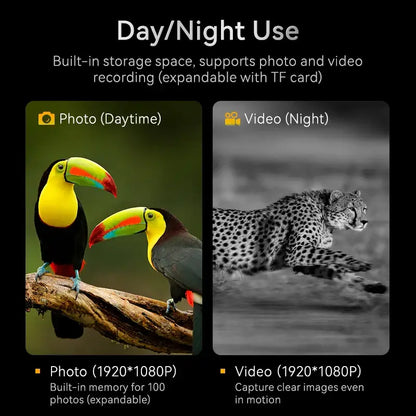 1080P Digital Night Vision Binoculars