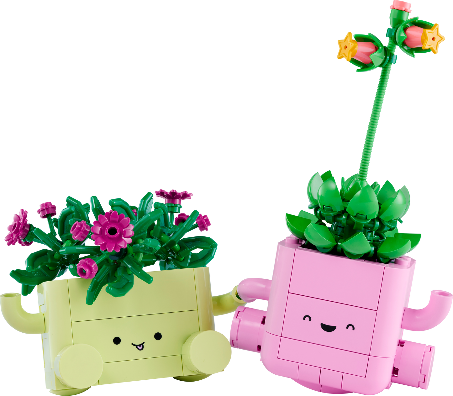 LEGO Botanicals: Rocking Plants (11506)