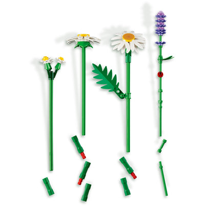 LEGO Botanicals: Daisies (11508)