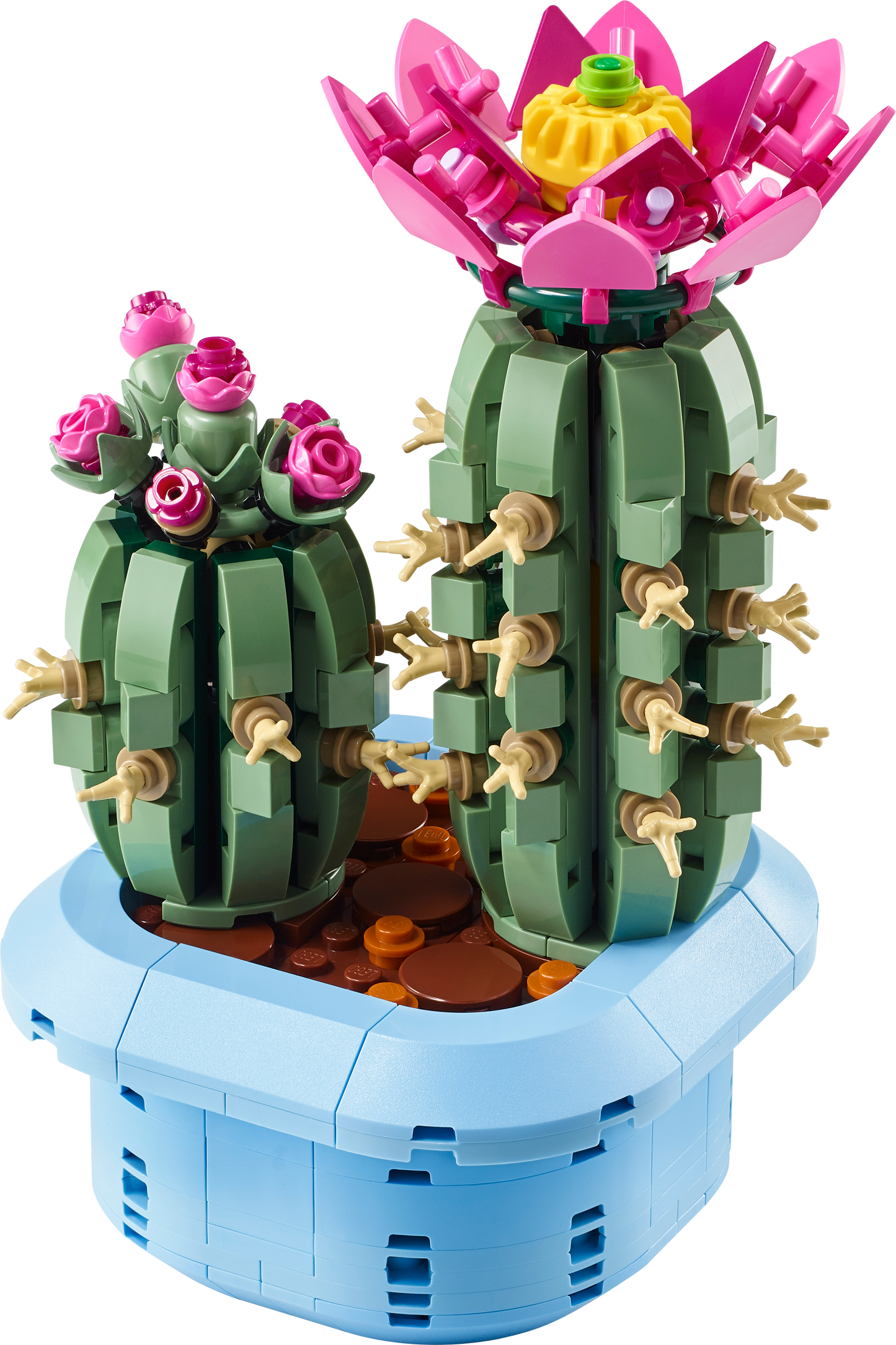LEGO Botanicals: Flowering Cactus (11509)