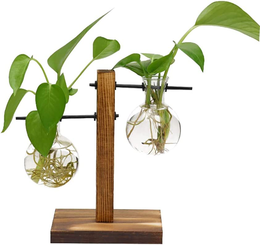 Hydroponic Vase Wooden Stand Glass Bulb Plants Container