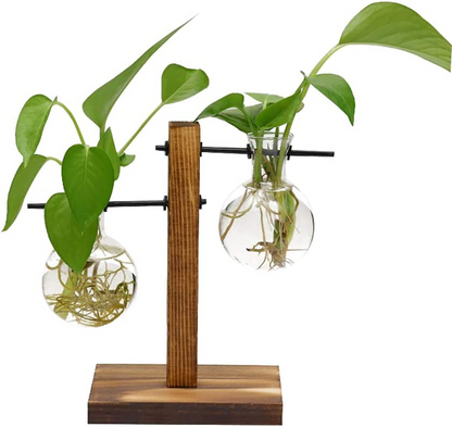 Hydroponic Vase Wooden Stand Glass Bulb Plants Container