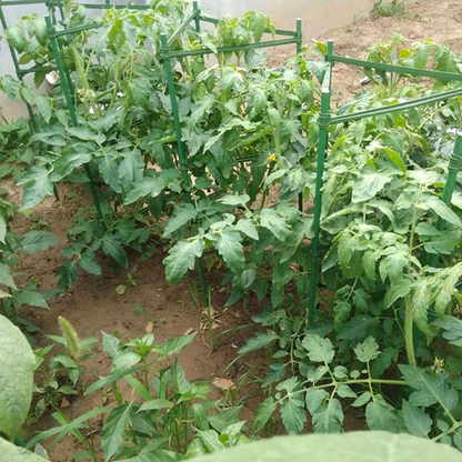 Plant Support Stake Tomato Cage