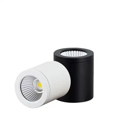 20W Downlight