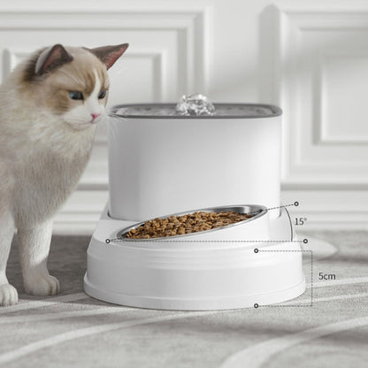 Pet Water Fountain and Food Bowl
