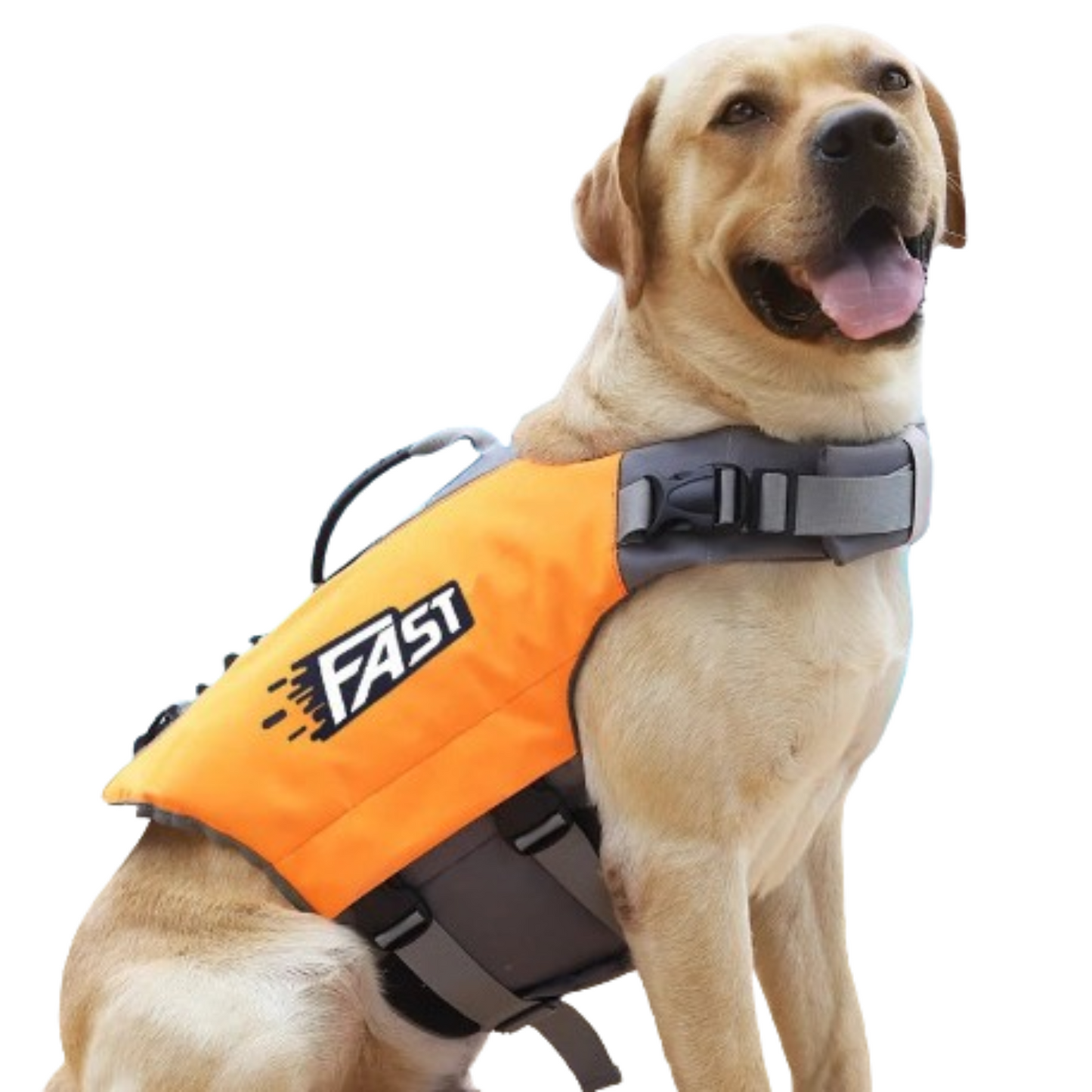 Reflective Dog Life Jacket – Adjustable Summer Swimming Vest