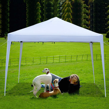 Canopy Tent Gazebo with Dressed Legs