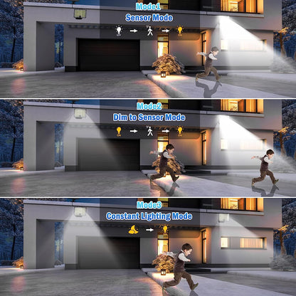 Outdoor Solar Lights