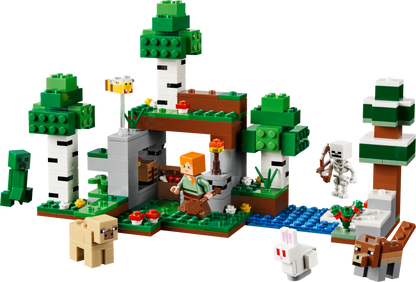 LEGO Minecraft: First Night Adventure (21593)