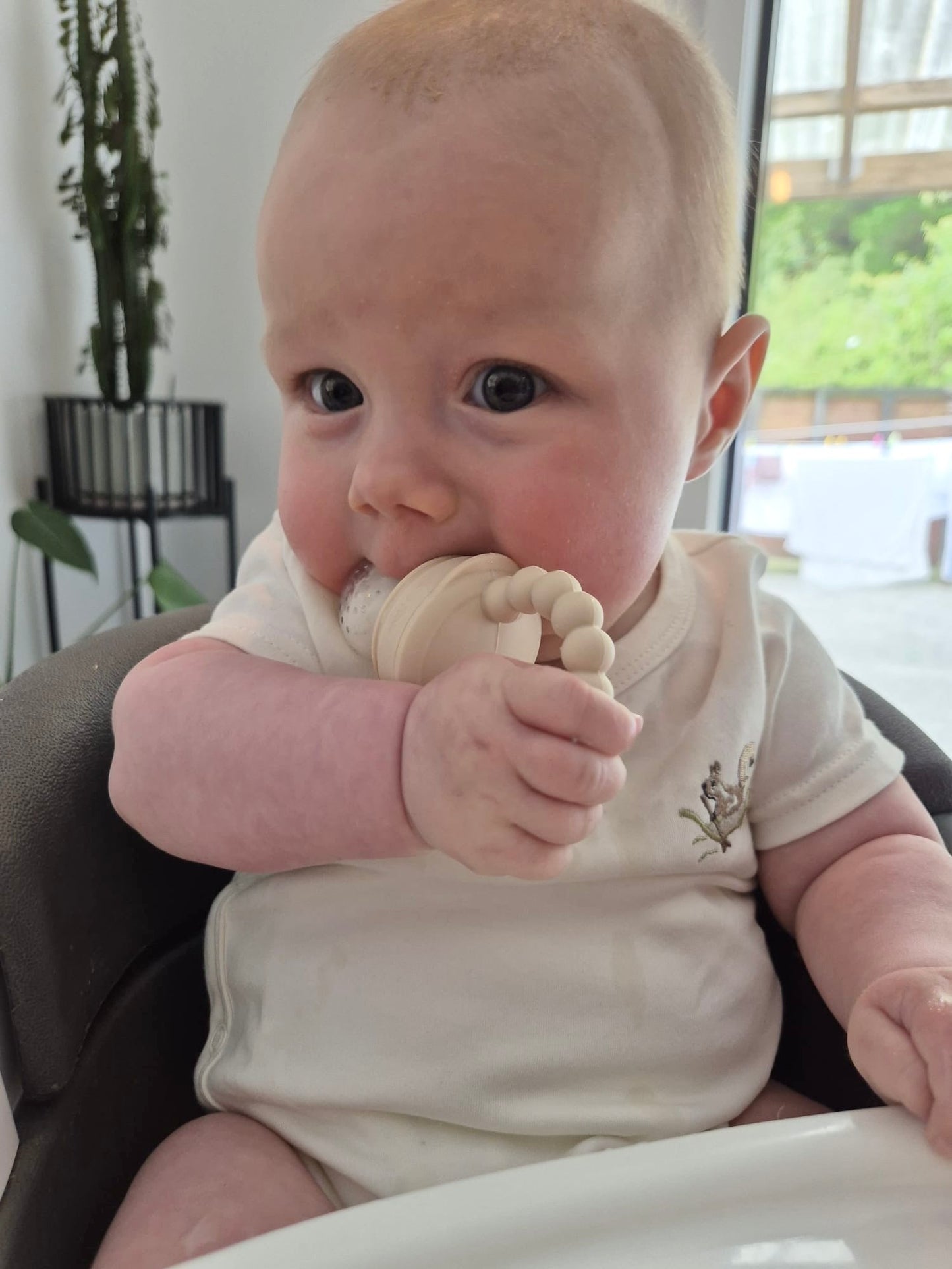 Fresh Food Teether & Silicone Freeze Tray