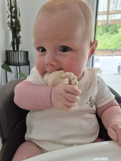 Fresh Food Teether & Silicone Freeze Tray