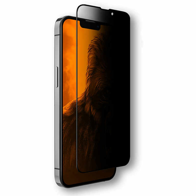 iPhone 13 Pro Max Anti Peep Spy Privacy Screen Protector