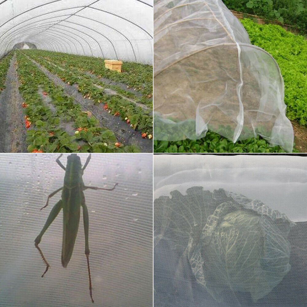 3 x 10M Garden Net Protection Plant Netting