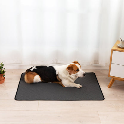 Pet Training Pads for Repeated Water Absorption
