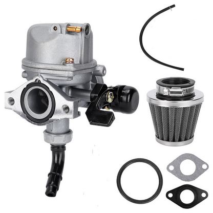 Carburetor PZ19 with Fuel Filter and 35mm Air Filter