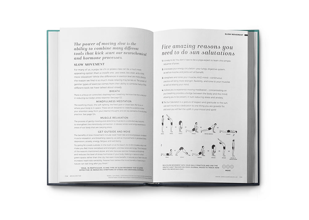 Resilient ME Gratitude Journal (17+)