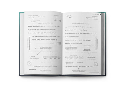 Resilient ME Gratitude Journal (17+)